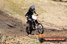 Champions Ride Day MotorX Broadford 25 01 2015 - DSC_2399