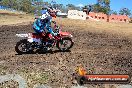 Champions Ride Day MotorX Broadford 25 01 2015 - DSC_2412