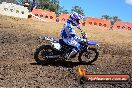 Champions Ride Day MotorX Broadford 25 01 2015 - DSC_2420