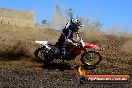 Champions Ride Day MotorX Broadford 25 01 2015 - DSC_2456