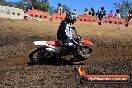 Champions Ride Day MotorX Broadford 25 01 2015 - DSC_2653