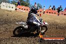 Champions Ride Day MotorX Broadford 25 01 2015 - DSC_2665