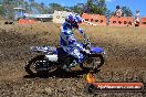 Champions Ride Day MotorX Broadford 25 01 2015 - DSC_2686