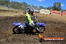 Champions Ride Day MotorX Broadford 25 01 2015 - DSC_2693