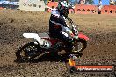 Champions Ride Day MotorX Broadford 25 01 2015 - DSC_2713