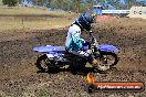 Champions Ride Day MotorX Broadford 25 01 2015 - DSC_2730