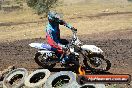 Champions Ride Day MotorX Broadford 25 01 2015 - DSC_2780