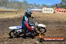 Champions Ride Day MotorX Broadford 25 01 2015 - DSC_2782