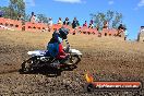 Champions Ride Day MotorX Broadford 25 01 2015 - DSC_2784