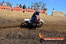 Champions Ride Day MotorX Broadford 25 01 2015 - DSC_2785