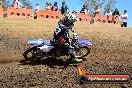 Champions Ride Day MotorX Broadford 25 01 2015 - DSC_2835