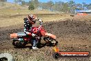 Champions Ride Day MotorX Broadford 25 01 2015 - DSC_2874