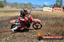 Champions Ride Day MotorX Broadford 25 01 2015 - DSC_2875