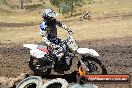 Champions Ride Day MotorX Broadford 25 01 2015 - DSC_2893