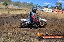 Champions Ride Day MotorX Broadford 25 01 2015 - DSC_2928