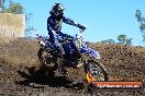 Champions Ride Day MotorX Broadford 25 01 2015 - DSC_3030