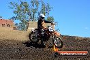 Champions Ride Day MotorX Broadford 25 01 2015 - DSC_3046