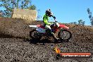 Champions Ride Day MotorX Broadford 25 01 2015 - DSC_3077