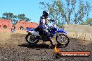 Champions Ride Day MotorX Broadford 25 01 2015 - DSC_3086