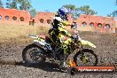 Champions Ride Day MotorX Broadford 25 01 2015 - DSC_3103