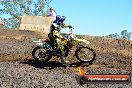 Champions Ride Day MotorX Broadford 25 01 2015 - DSC_3106