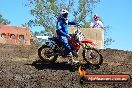 Champions Ride Day MotorX Broadford 25 01 2015 - DSC_3116