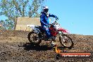 Champions Ride Day MotorX Broadford 25 01 2015 - DSC_3117