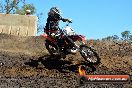 Champions Ride Day MotorX Broadford 25 01 2015 - DSC_3130