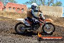 Champions Ride Day MotorX Broadford 25 01 2015 - DSC_3175