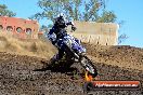 Champions Ride Day MotorX Broadford 25 01 2015 - DSC_3187