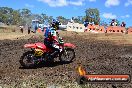 Champions Ride Day MotorX Broadford 25 01 2015 - DSC_3236