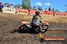 Champions Ride Day MotorX Broadford 25 01 2015 - DSC_3278