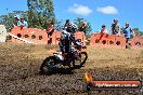 Champions Ride Day MotorX Broadford 25 01 2015 - DSC_3305