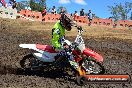 Champions Ride Day MotorX Broadford 25 01 2015 - DSC_3346