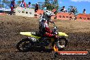 Champions Ride Day MotorX Broadford 25 01 2015 - DSC_3391