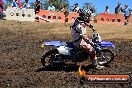 Champions Ride Day MotorX Broadford 25 01 2015 - DSC_3400