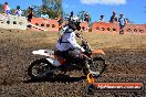 Champions Ride Day MotorX Broadford 25 01 2015 - DSC_3411