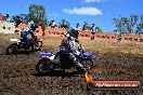 Champions Ride Day MotorX Broadford 25 01 2015 - DSC_3447