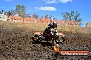 Champions Ride Day MotorX Broadford 25 01 2015 - DSC_3464