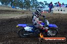 Champions Ride Day MotorX Broadford 25 01 2015 - DSC_3535