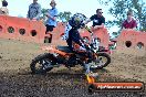 Champions Ride Day MotorX Broadford 25 01 2015 - DSC_3546