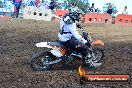 Champions Ride Day MotorX Broadford 25 01 2015 - DSC_3566