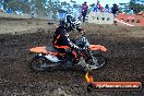 Champions Ride Day MotorX Broadford 25 01 2015 - DSC_3584
