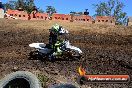 Champions Ride Day MotorX Broadford 25 01 2015 - DSC_3619