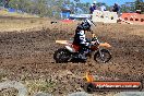 Champions Ride Day MotorX Broadford 25 01 2015 - DSC_3621