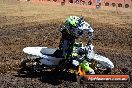 Champions Ride Day MotorX Broadford 25 01 2015 - DSC_3641