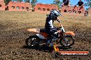 Champions Ride Day MotorX Broadford 25 01 2015 - DSC_3650