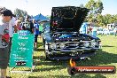 All FORD day Geelong VIC 15 02 2015 - Geelong_All_Ford_Day_0004