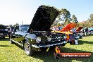 All FORD day Geelong VIC 15 02 2015 - Geelong_All_Ford_Day_0074