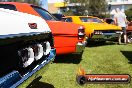 All FORD day Geelong VIC 15 02 2015 - Geelong_All_Ford_Day_0114